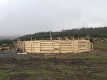 Runde Fanganlage aus Holz 