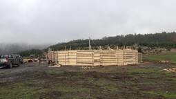 Runde Fanganlage aus Holz 