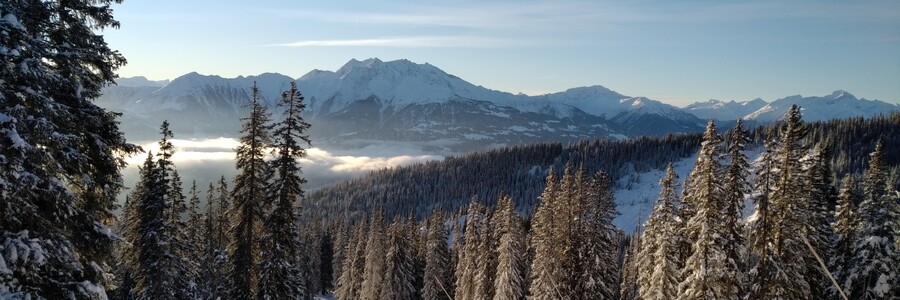 Skigebiet im Winter