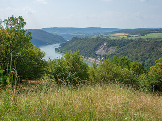 Weitblick in das sommerliche Rheintal