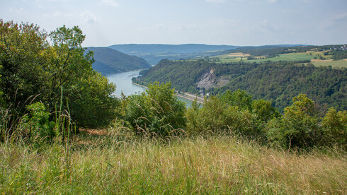 Weitblick in das sommerliche Mittelrheintal