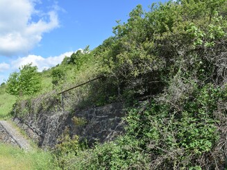 Schon leicht zugewachsene Trockenmauern in der Dörscheider Heide am Mittelrhein