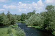 Flussaue, bei der sich ein Fluss durch bewaldete Flächen schlängelt