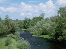 Flussaue, bei der sich ein Fluss durch bewaldete Flächen schlängelt