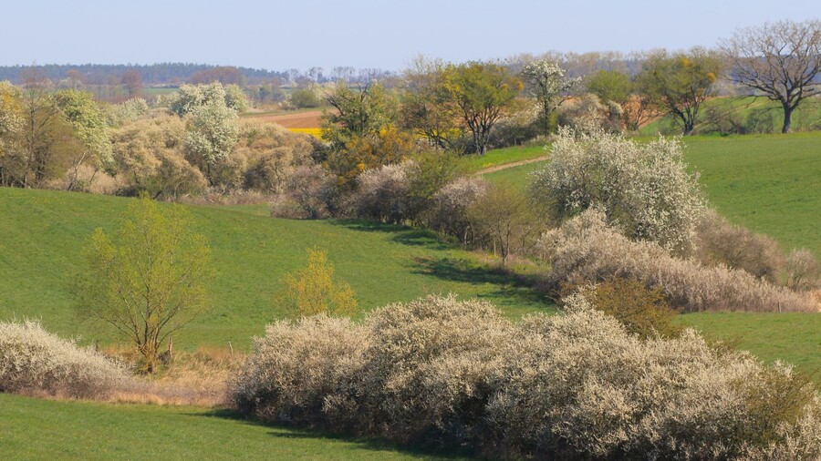 Reich strukturierte Agrarlandschaft