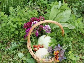 Korb mit Gemüseernte mitten im Beet