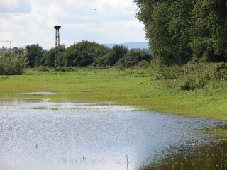 Hehneswiesen
