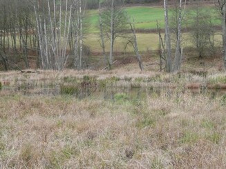 Bach fließt durch Landschaft