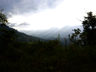 Nebelverhangene Berghänge der Sierra Nevada de Santa Marta