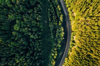 Straße zerschneidet Naturräume