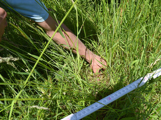 Vermessung einer Grasfläche im Detail