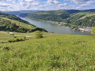 Wiese im Gebiet der Dörscheider Heide vor dem Panorama des Mittelrheins