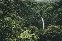 Wasserfall im dichten Regenwald von Costa Rica