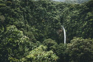 Wasserfall im dichten Regenwald von Costa Rica