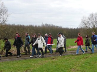 Kiebitzwanderung
