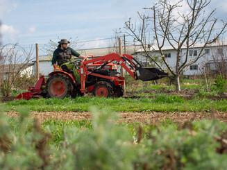 Ein Mann fährt auf einem kleinen Traktor und bringt Champost zur Düngung aus