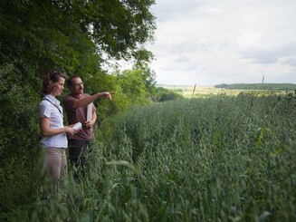 Aufforstungsfläche wird inspiziert