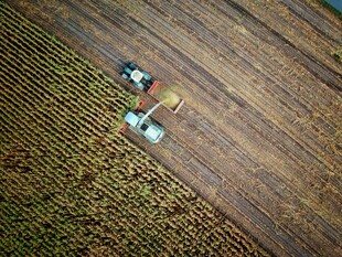 Traktor von oben, der ein Feld mäht