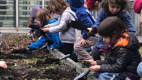 Kinder pflanzen Blumensamen