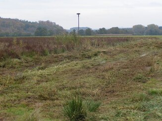 Kiebitzwiese im fertigen Zustand