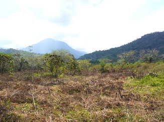 Degenerierte__landwirtschaftlich_genutzte_Flaeche_in_der_Sierra_Nevada_de_Santa_Marta