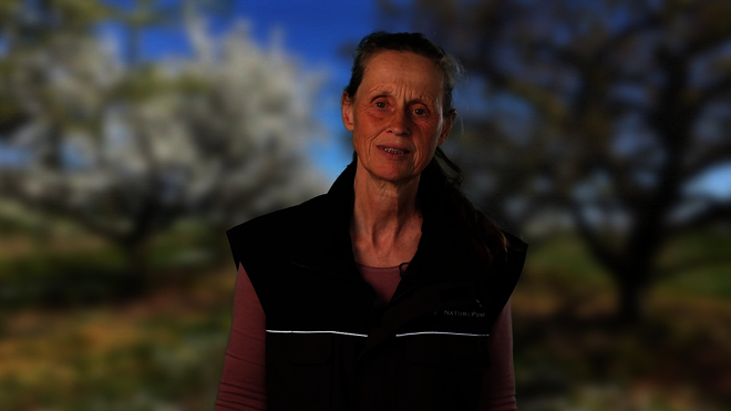 Click to start video.