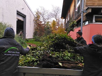 Pflanzgut wird von drei Personen auf einen Pritschenwagen der Naturschutzorganisation Naturefund geladen
