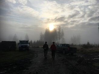 Sonnenaufgang im Nebel