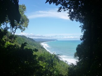Regenwaldküste vom Corcovado Nationalpark fotografiert aus einem Loch im Regenwalddickicht