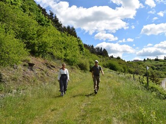 Ein Mann und eine Frau laufen durch die Dörscheider Heide