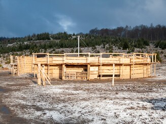 Neu gebaute Fanganlage für Wisente