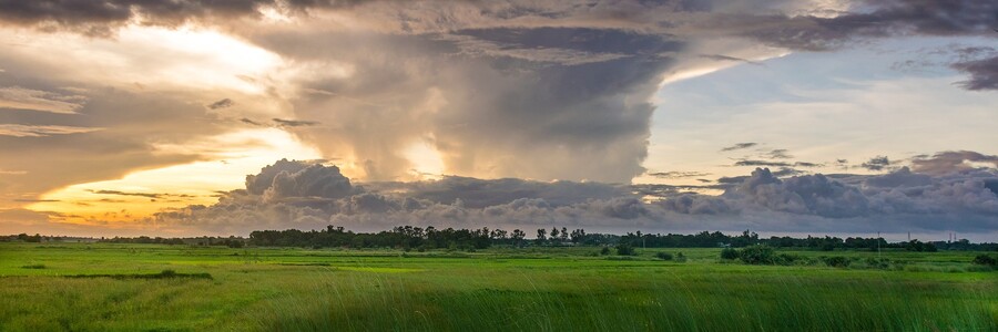 Regenguss auf Feld