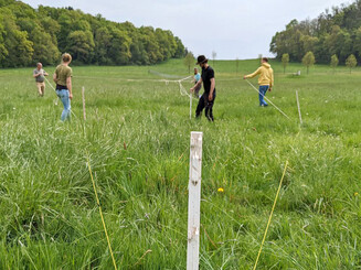 Mehrere Personen vermessen die Landschaft