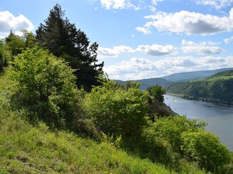 Steilhänge der Dörscheider Heide vor dem Panorama des Mittelrheins