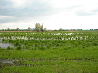 Kibietzwiese