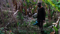 Bauer auf Madagaskar berichtet von seiner Erfahrung mit der Anbaumethode Dynamischer Agroforst