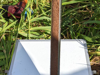 Entnahme einer Bodenprobe mit speziellem Gerät