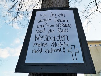 Aktionsplakat gegen Misteln an Baum