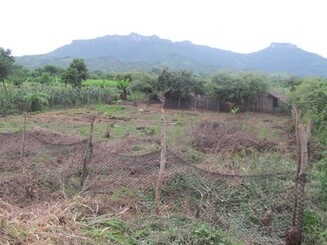 [Translate to English:] DAF Fläche Madagaskar nach Einsetzen 