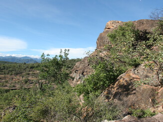 Blick in karge Landschaft