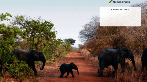 Spendenurkunde für Naturschutzprojekt in Burkina Faso