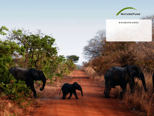 Spendenurkunde für Naturschutzprojekt in Burkina Faso