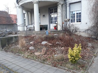 Trist bepflanzter Garten