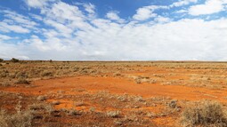 Steppe in Australien unter blauem Himmel