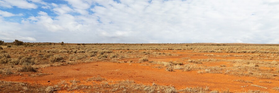 Steppe in Australien unter blauem Himmel