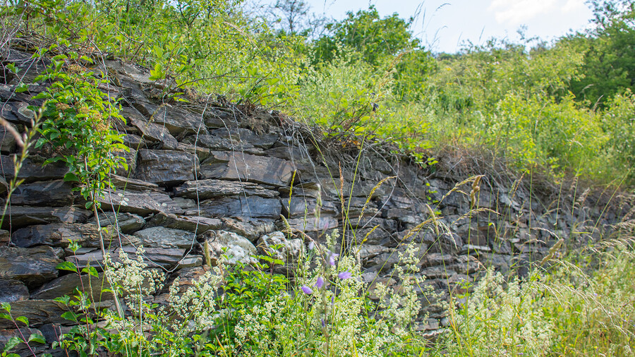 Trockenmauer aus Schiefer in der Dörscheider Heide