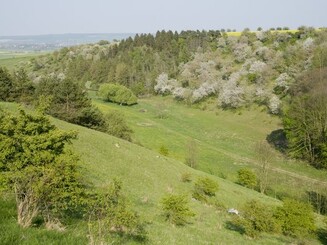 Wildes Hügelland in Thüringen 