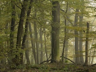 hohe Schrecke Thüringen