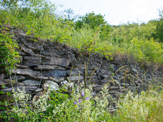 Blick auf Trockenmauer mit Sträuchern