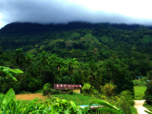 Bauernhaus in Costa Rica vor dicht mit Regenwald bewachsenem Berg
